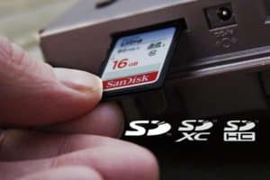 A guide to SD cards for trail cameras