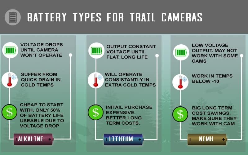 trail camera battery information graphic