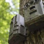 best trail camera on a budget