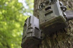 best trail camera on a budget