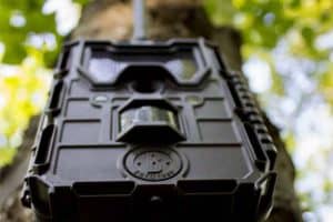 5 of the best trail cameras for the money
