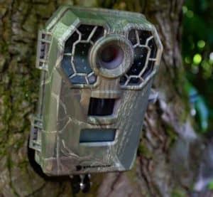 trail camera positioning