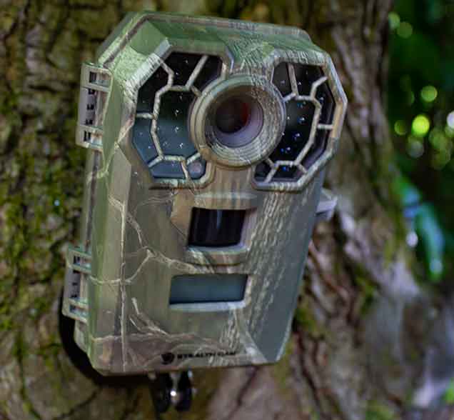 Trail Camera Detection Range - Guide To How It Works