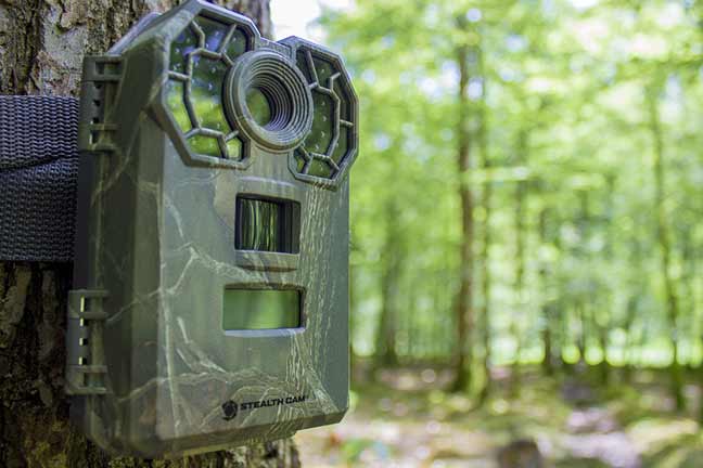 Stealth Cam G42NG No Glo Digital Trail Game Camera 10MP 2 