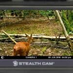 stealth cam sd card reader