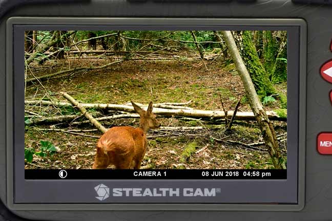 Brown VU60 SD Card Reader with Touch Screen Wildgame Innovations Trail Pad 