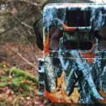 How to lock a trail camera to a tree