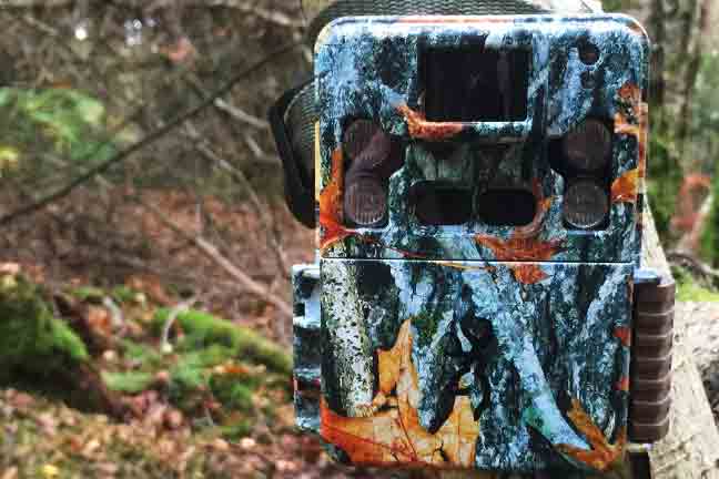 How to lock a trail camera to a tree
