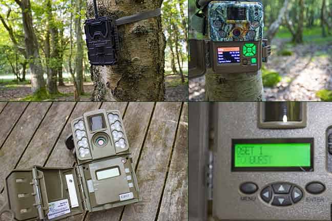 Frequently asked questions about trail cameras