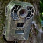 trail camera mount