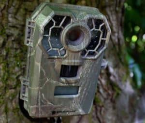 trail camera mount