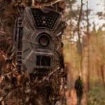 How to Hide Trail Cameras from Humans
