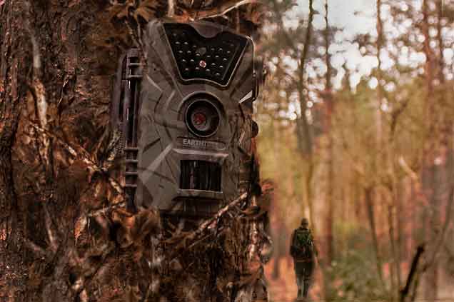 How to Hide Trail Cameras from Humans