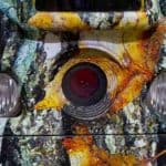 How to Prevent Trail Camera Condensation