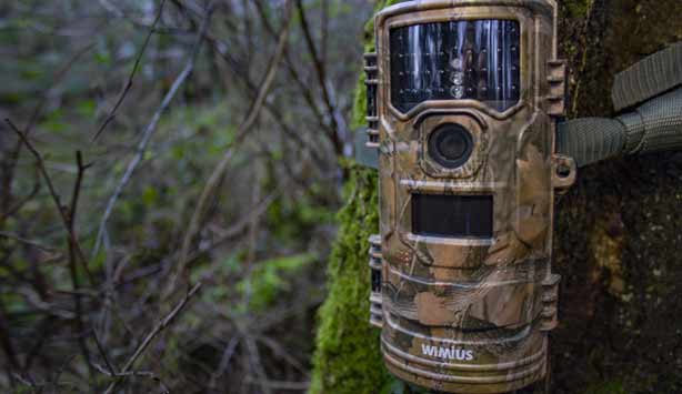 wimius h7 trail camera review