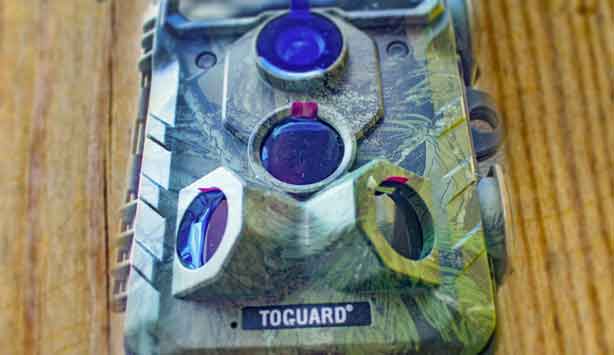 toguard trail camera reviews