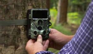 Best-No-Glow-Trail-Camera